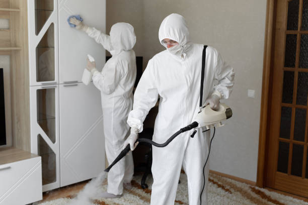 Affordable Sewage Cleanup solutions in Honey Creek, IA